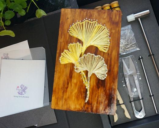 DIY Kit - Ginkgo Leaves